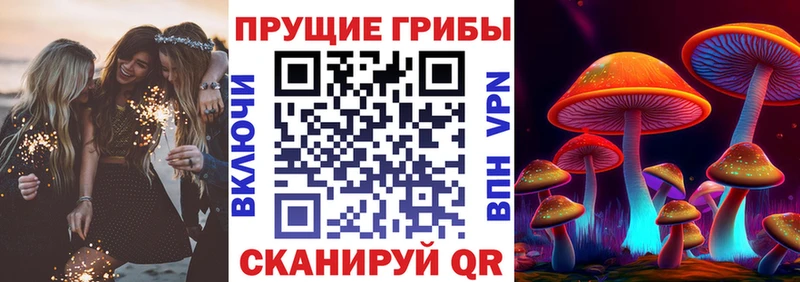 Галлюциногенные грибы Psilocybine cubensis  Шадринск 