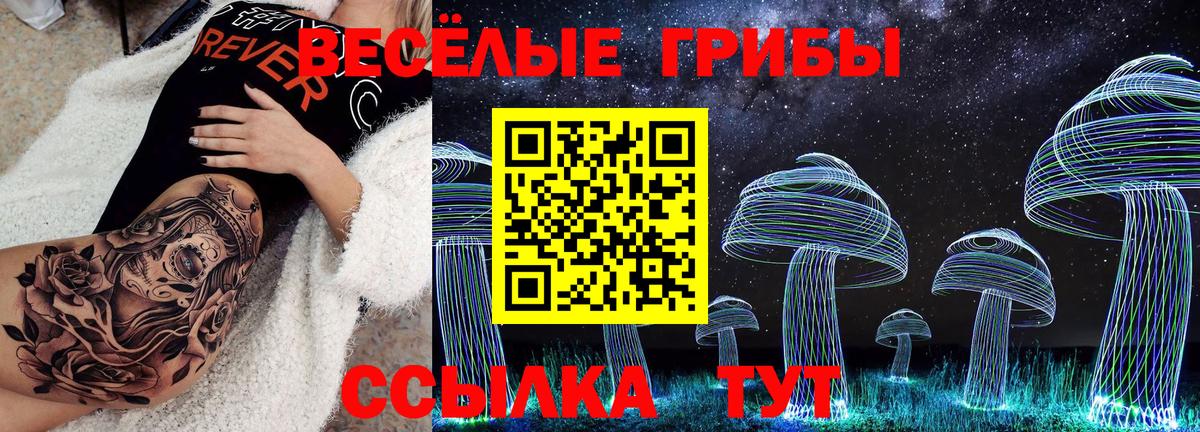 Псилоцибиновые грибы Magic Shrooms  Вход с VPN  Псилоцибиновые грибы мухоморы  Шадринск 